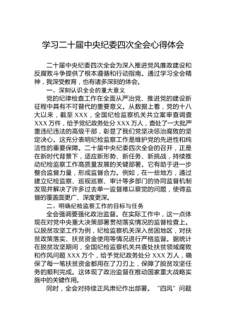学习二十届中央纪委四次全会心得体会