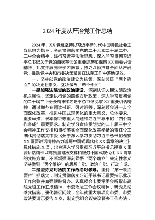 2024年度从严治党工作总结