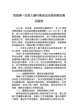 党政第一负责人履行推进法治政府建设情况报告