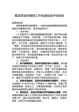 基层党组织整顿工作检查验收评估报告