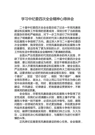 学习中纪委四次全会精神心得体会