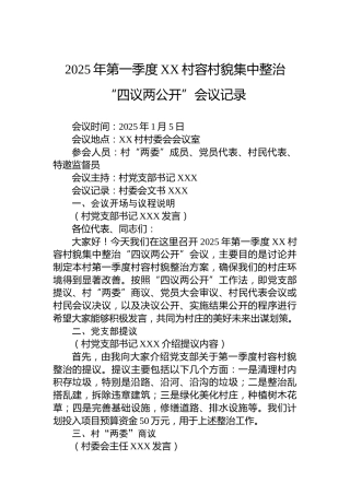 2025年第一季度XX村容村貌集中整治“四议两公开”会议记录