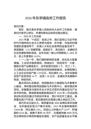 2026年东亭镇政府工作报告