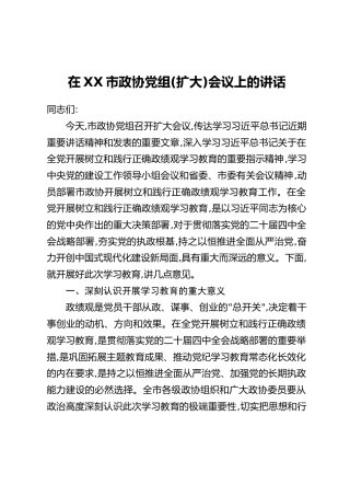 在XX市政协党组(扩大)会议上的讲话