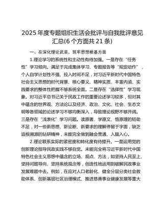 2025年度专题组织生活会批评与自我批评意见汇总(6个方面共21条)