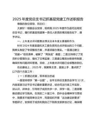 2025年度司法系统党总支书记抓基层党建工作述职报告
