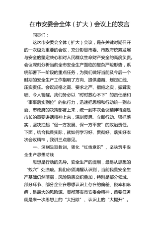 在市安委会全体会议（安全生产）发言