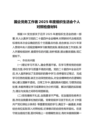 国企党务工作者2025年度组织生活会个人对照检查材料