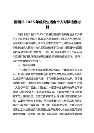 副镇长2025年组织生活会个人对照检查材料