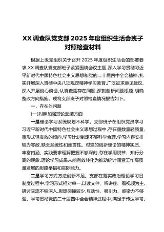 XX调查队党支部2025年度组织生活会班子对照检查材料