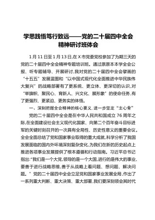 学思践悟笃行致远——党的二十届四中全会精神研讨班体会
