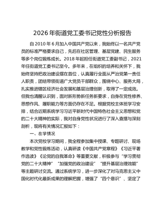 2026年街道党工委书记党性分析报告