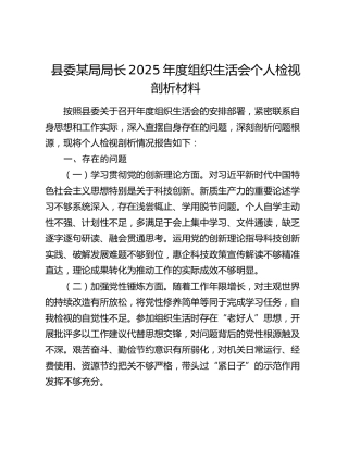 县委某局局长2025年度组织生活会个人检视剖析材料