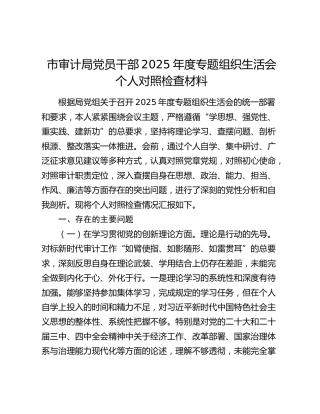 市审计局党员干部2025年度专题组织生活会个人对照检查材料