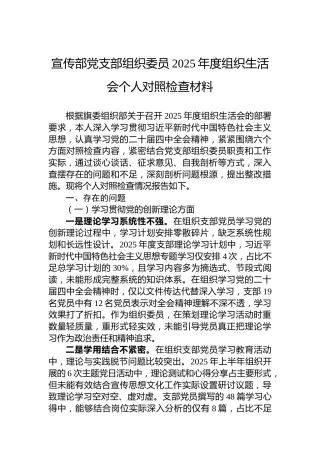 宣传部党支部组织委员2025年度组织生活会个人对照检查材料