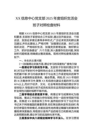XX信息中心党支部2025年度组织生活会班子对照检查材料