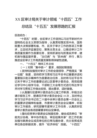 XX区审计局关于审计领域“十四五”工作总结及“十五五”发展思路的汇报