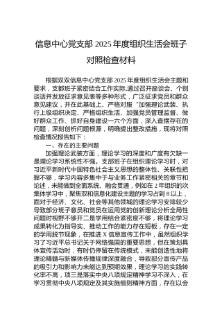 信息中心党支部2025年度组织生活会班子对照检查材料