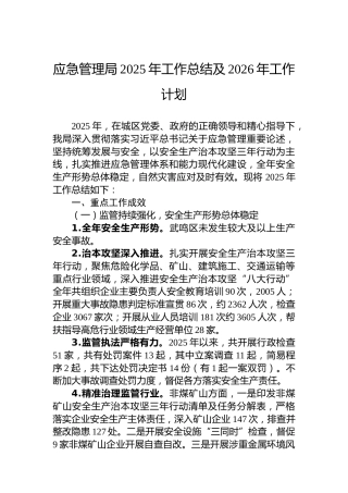 应急管理局2025年工作总结及2026年工作计划