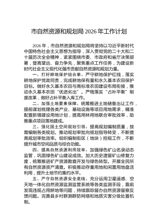 市自然资源和规划局2026年工作计划