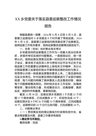 XX乡党委关于落实县委巡察整改工作情况报告
