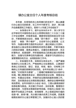 镇办公室主任个人年度考核总结