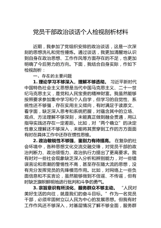 党员干部政治谈话个人检视剖析材料