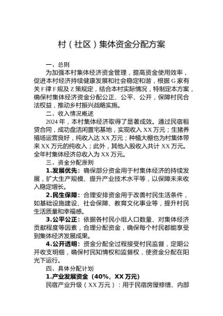 村（社区）集体资金分配方案