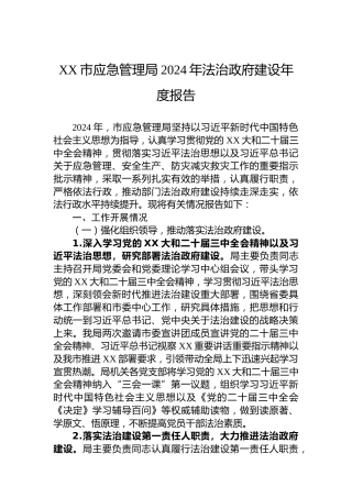 XX市应急管理局2024年法治政府建设年度报告