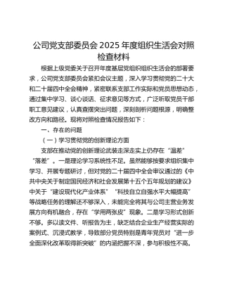 国企党支部委员会2025年度组织生活会对照检查材料