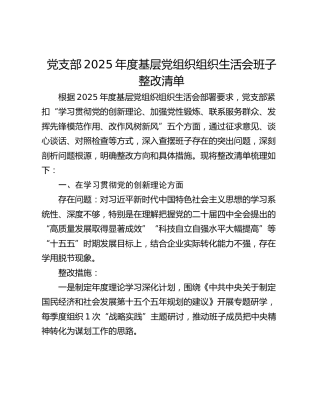 党支部2025年度基层党组织组织生活会班子整改清单（存在问题、整改措施）