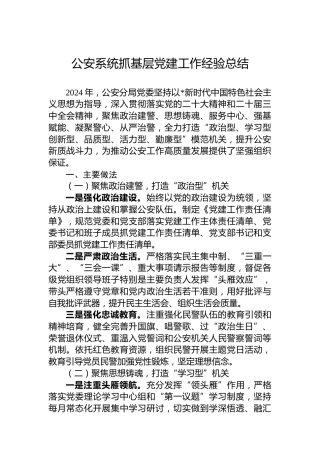 公安系统抓基层党建工作经验总结