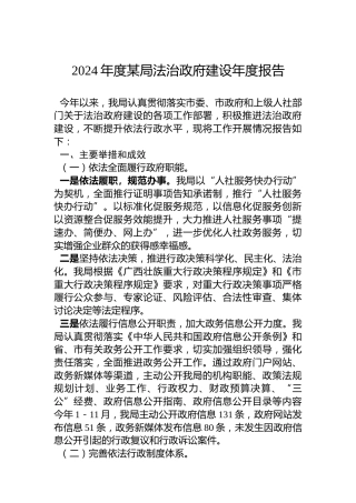 2024年度某局法治政府建设年度报告