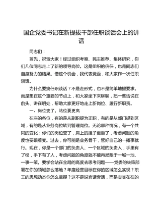 国企党委书记在新提拔干部任职谈话会上的讲话