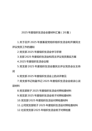 2025年度组织生活会全套材料汇编【20篇858页43万字】