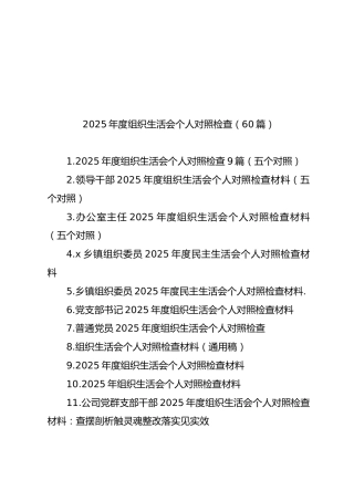 2025年度组织生活会个人对照检查【60篇546页29万字】