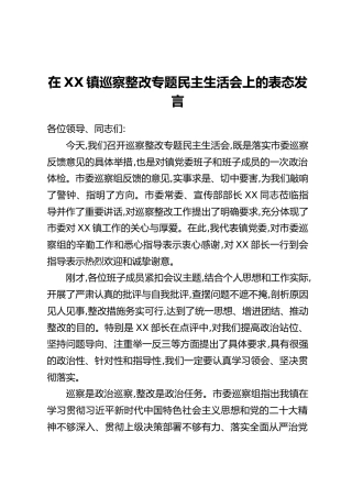 在XX镇巡察整改专题民主生活会上的表态发言