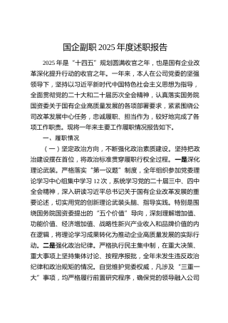 国企副职2025年度述职报告
