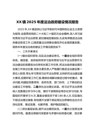 XX镇2025年度法治政府建设情况报告