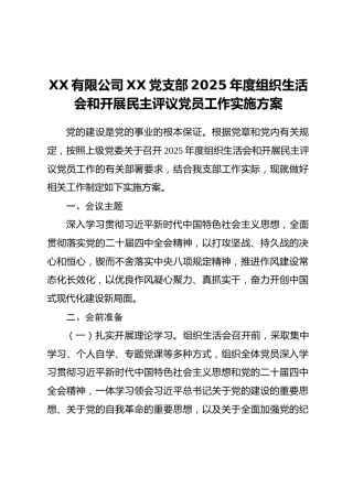 XX有限公司XX党支部2025年度组织生活会和开展民主评议党员工作实施方案