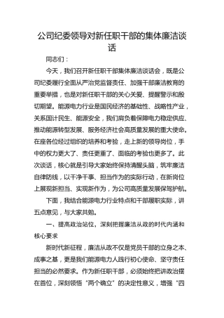 国企纪委领导对新任职干部的集体廉洁谈话