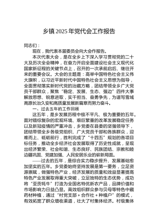 乡镇2025年党代会工作报告