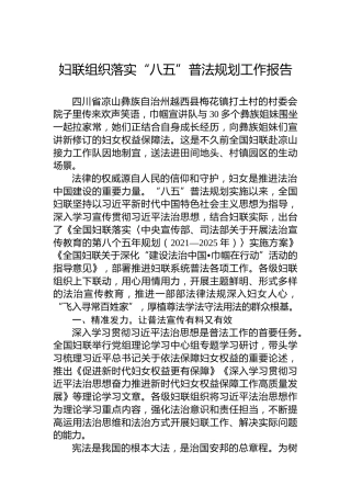 妇联组织落实“八五”普法规划工作报告