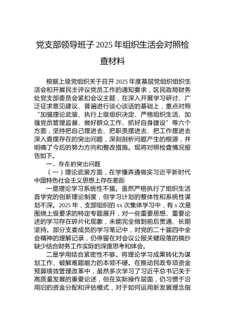 党支部领导班子2025年组织生活会对照检查材料