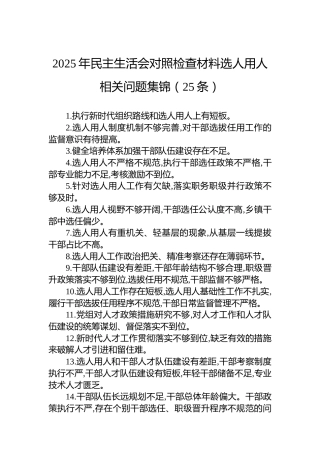2025年民主生活会对照检查材料选人用人相关问题集锦（25条）