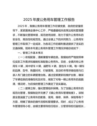 2025年度公务用车管理工作报告