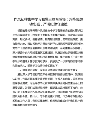 作风纪律集中学习和警示教育感悟：淬炼思想铸忠诚  严明纪律守底线