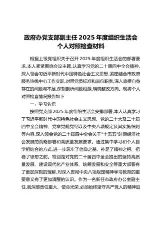政府办党支部副主任2025年度组织生活会个人对照检查材料