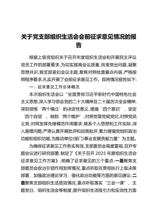 关于党支部组织生活会会前征求意见情况的报告