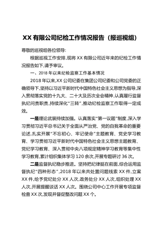 XX有限公司纪检工作情况报告（报巡视组）